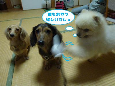 f0186040_2240573.jpg