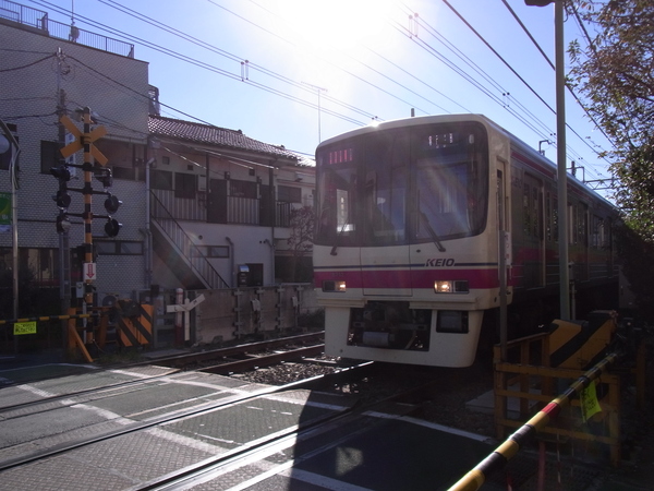 a0175545_17351250.jpg