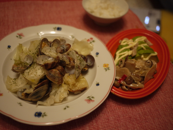 a0284046_14363059.jpg