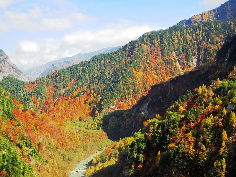 b0289649_2192685.jpg