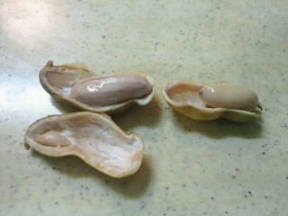 e0150849_1030422.jpg