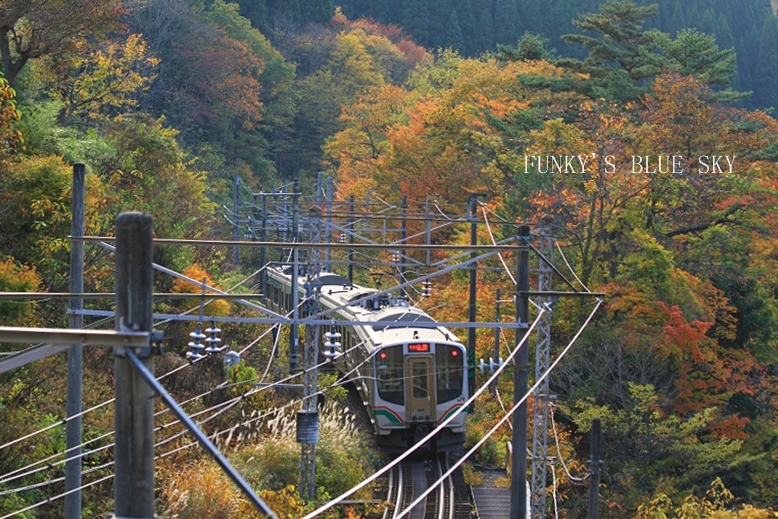 c0145250_1002173.jpg
