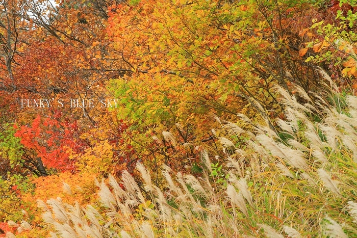 c0145250_1002940.jpg