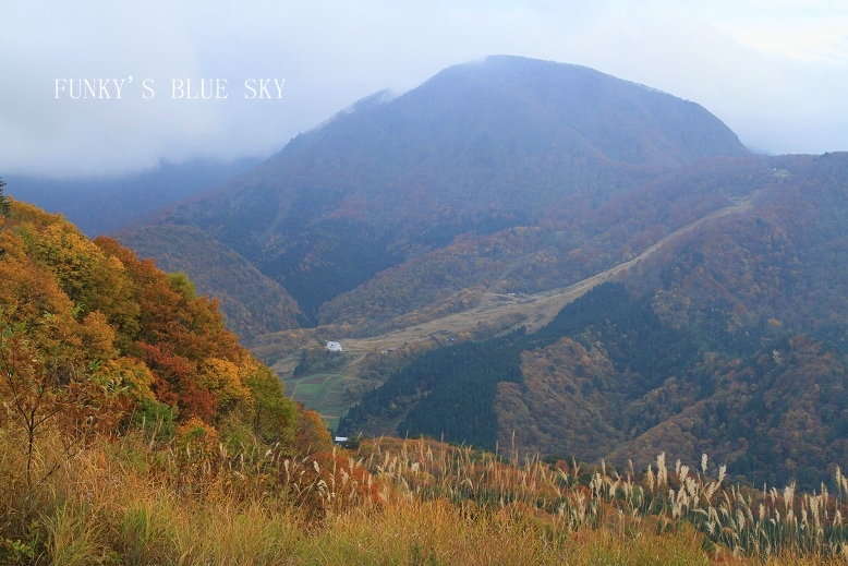 c0145250_1003844.jpg