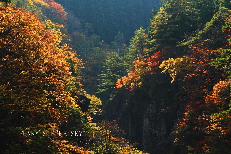 c0145250_100577.jpg