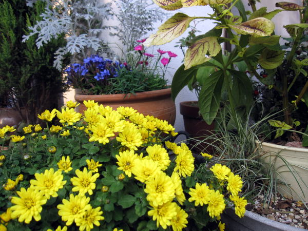 c0147952_12464418.jpg