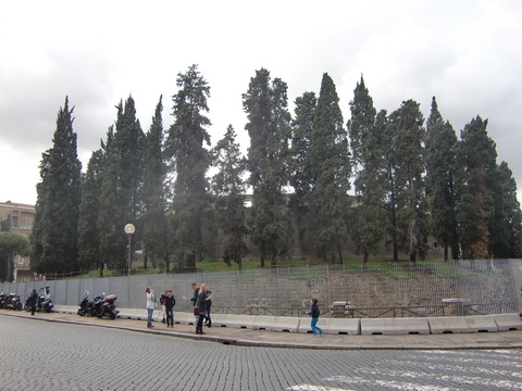 c0206352_0514733.jpg