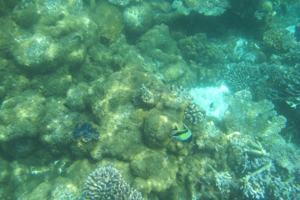 f0190653_10174135.jpg