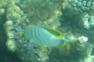f0190653_10174455.jpg