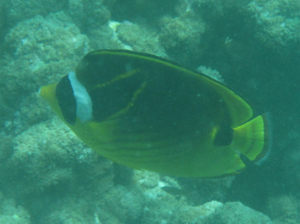 f0190653_10175165.jpg