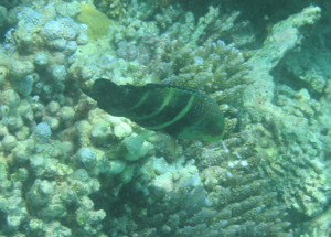 f0190653_1018982.jpg