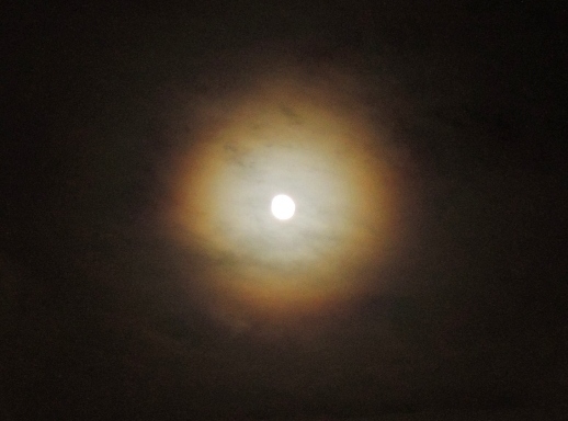 b0173754_135763.jpg