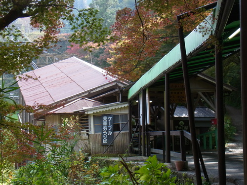 a0187861_10514398.jpg