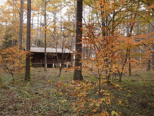 c0166668_22522496.jpg