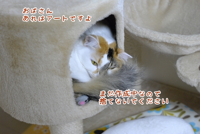 a0266372_1783179.jpg
