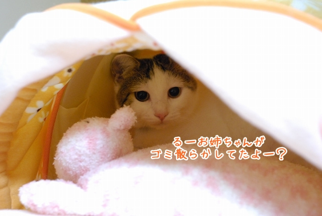 a0266372_1783651.jpg