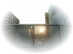 e0264374_1143237.jpg