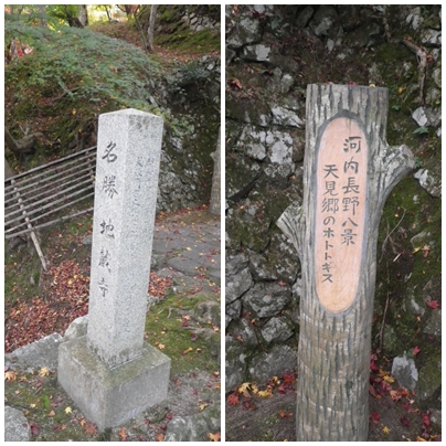 c0019376_1653990.jpg
