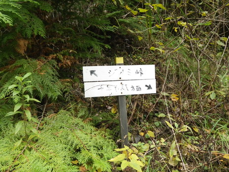 c0019376_1701118.jpg
