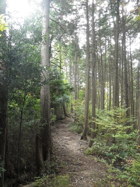 c0019376_1853570.jpg