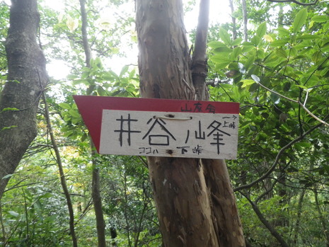 c0019376_18564967.jpg