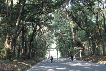 f0054677_828171.jpg