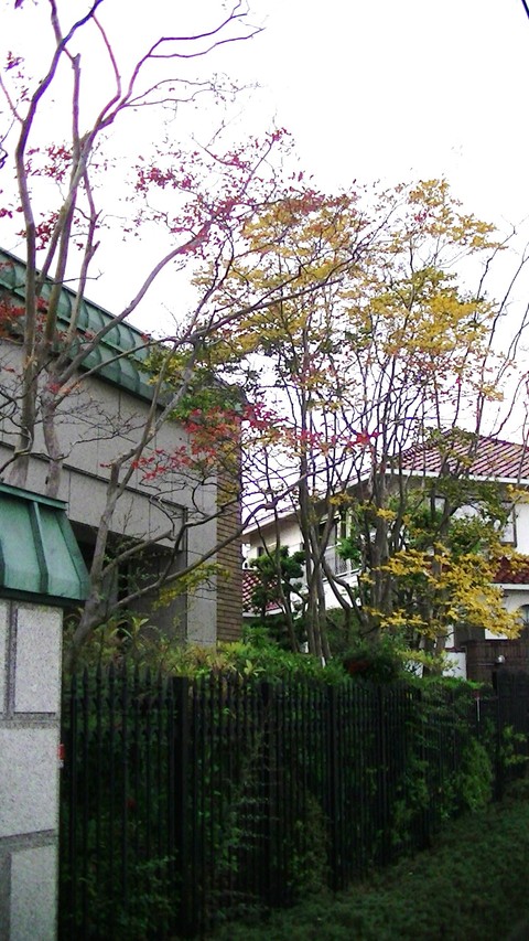b0226386_16371497.jpg