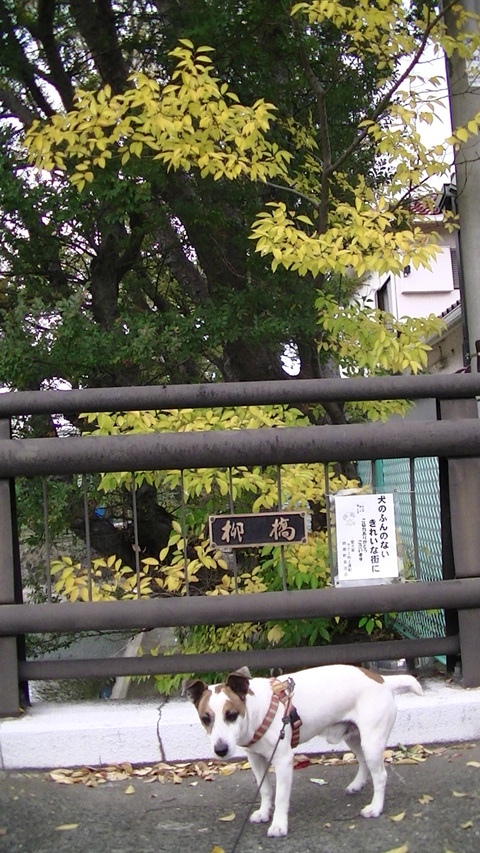 b0226386_1639363.jpg