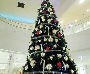 c0014187_212777.jpg