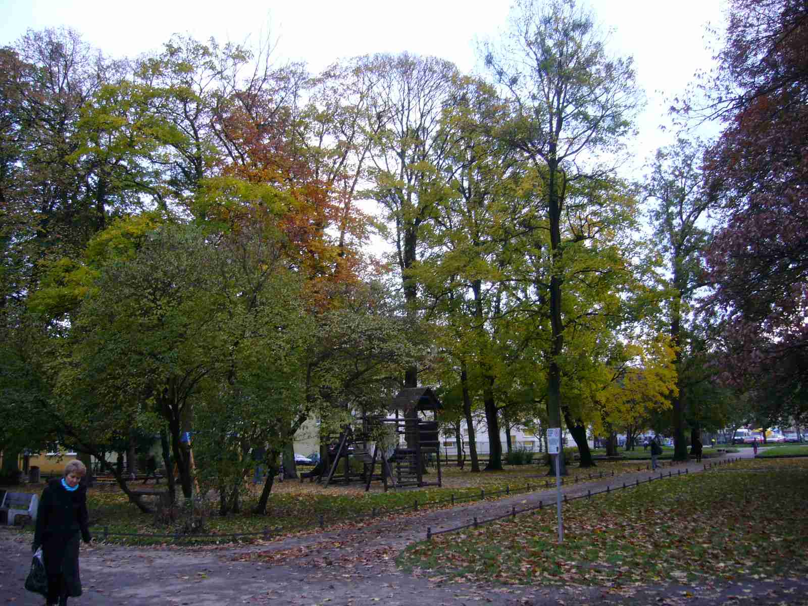f0169397_26790.jpg