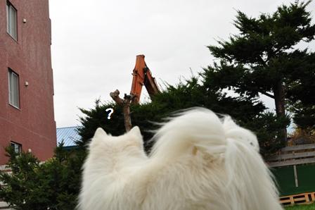 f0212597_4291621.jpg
