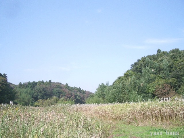 e0025300_12545672.jpg