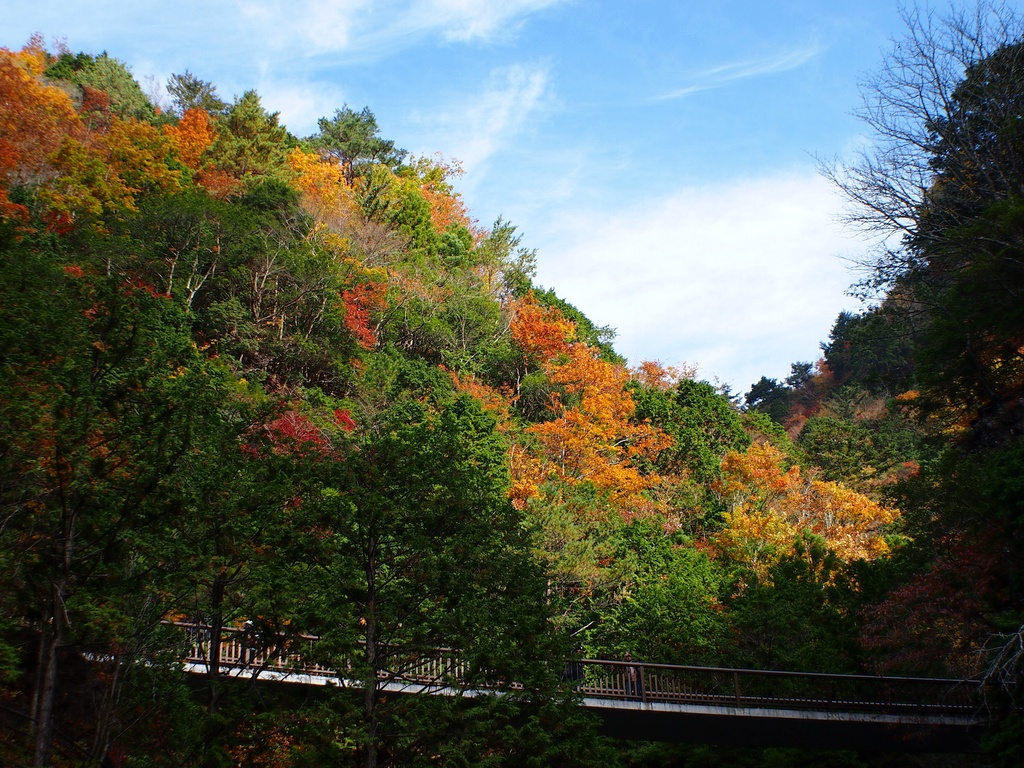 b0138101_22461024.jpg