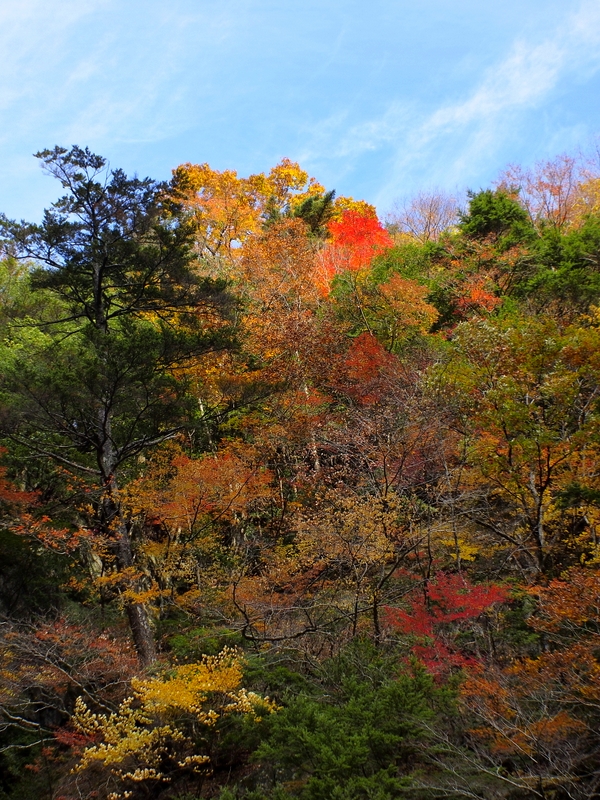 b0138101_22463596.jpg