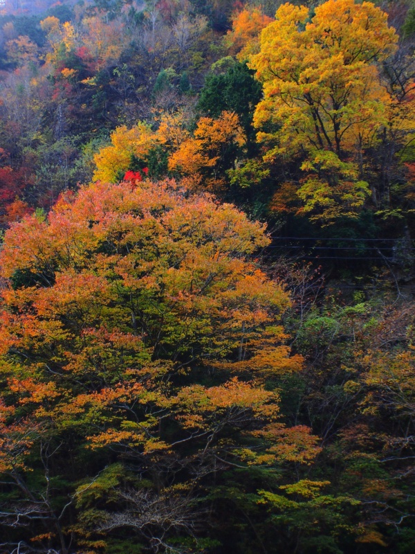 b0138101_5102881.jpg