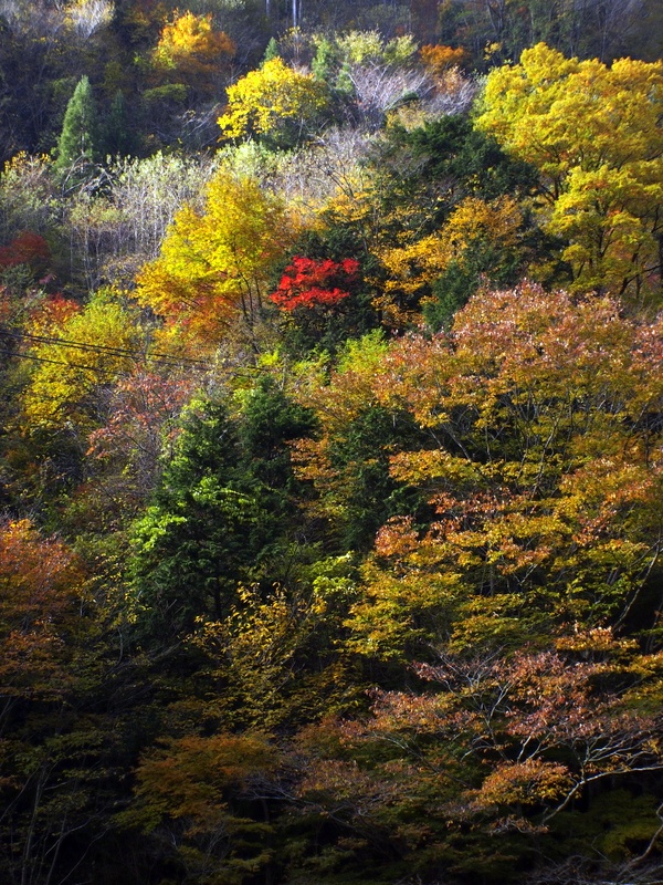 b0138101_5111423.jpg