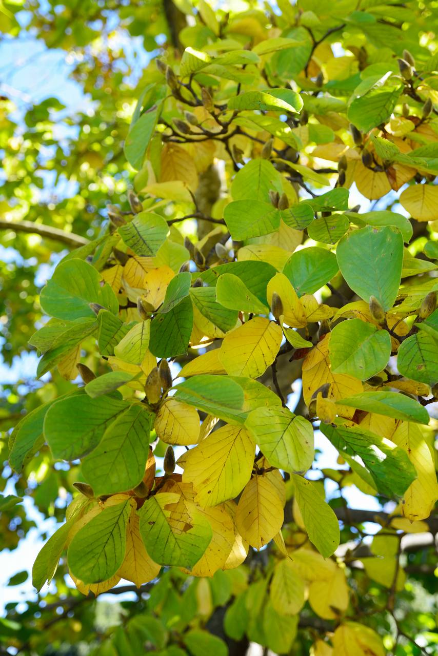 c0157702_23352890.jpg