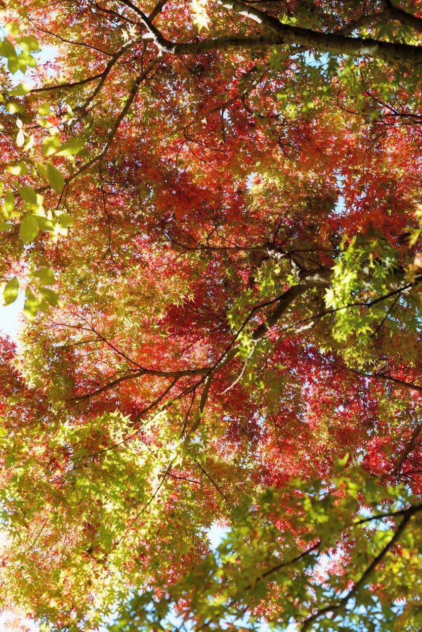 c0157702_2337266.jpg