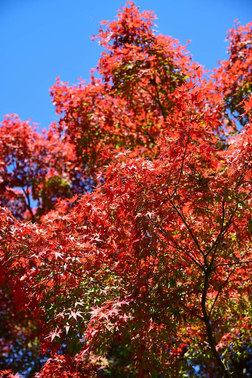 c0157702_2337564.jpg
