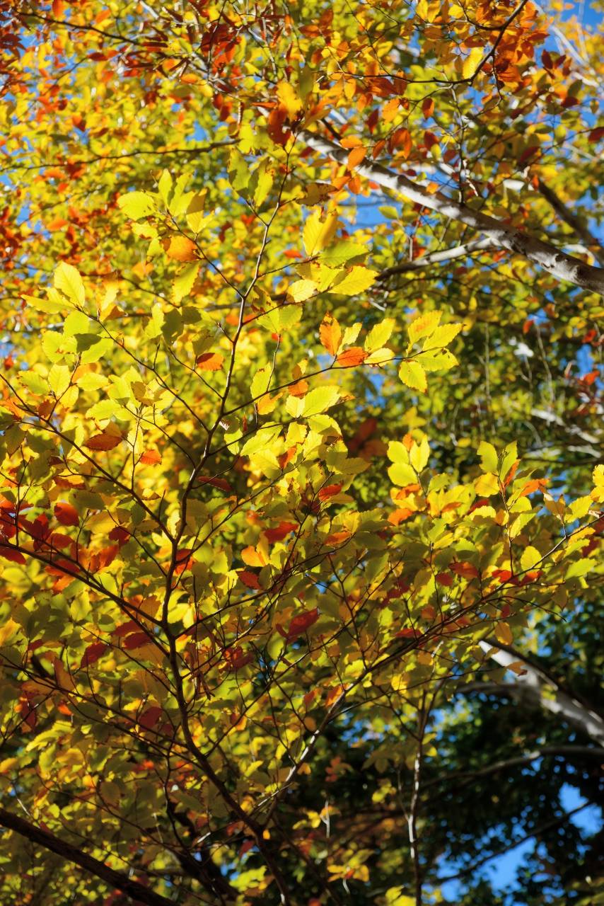 c0157702_23414440.jpg