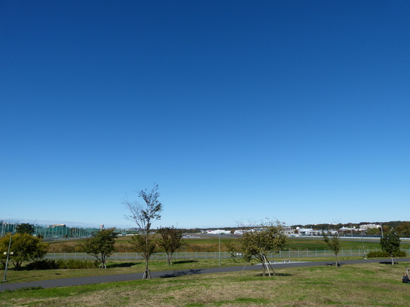 d0163003_0242944.jpg