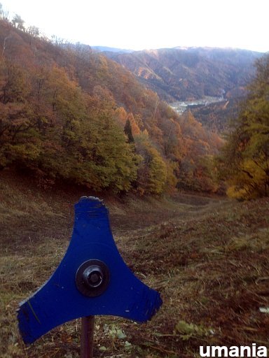 b0061004_2292229.jpg