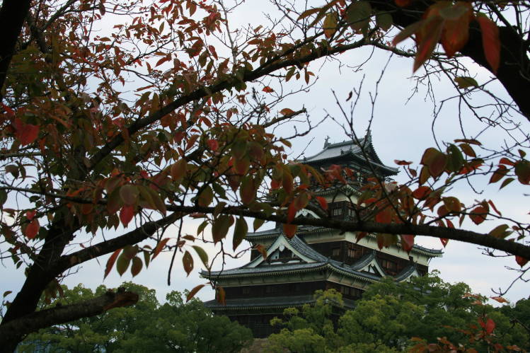 f0031304_725659.jpg