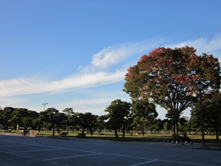 b0110708_14583117.jpg