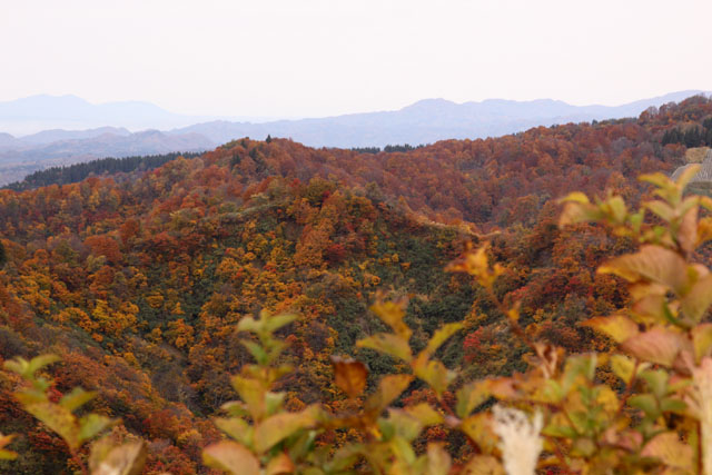 f0020508_16121152.jpg
