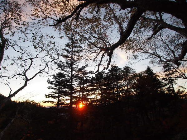 b0244811_17325466.jpg