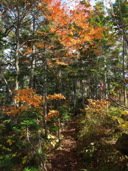 b0244811_1756439.jpg