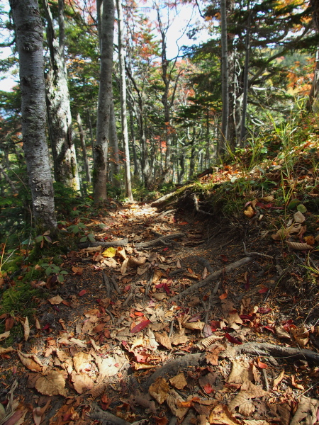 b0244811_1757256.jpg
