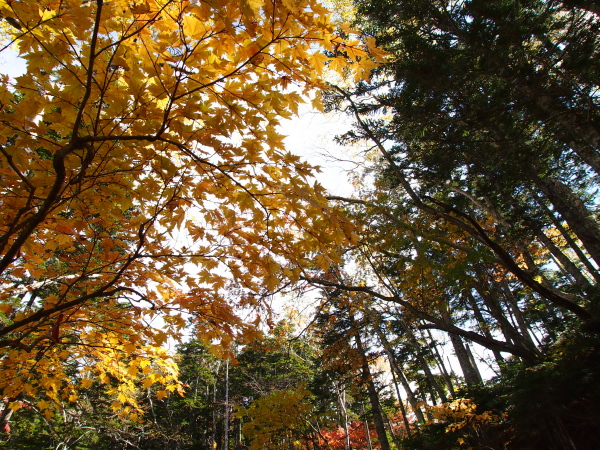 b0244811_17593784.jpg