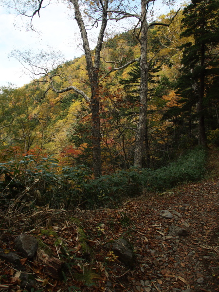 b0244811_1801735.jpg